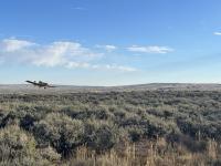 Fixed-wing aircraft treats cheatgrass