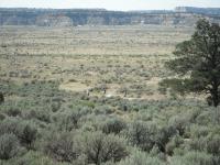 A dirt bike race east of Cuba, New Mexico.