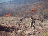 Firefighter wearing tan clothing and a red hardhat carries a backpack and a burn torch. Flames are visible in the background.
