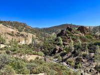 A rocky hillside.