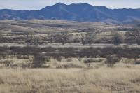 Las Cienegas National Conservation Area landscape with mountains