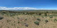 Sparse sagebrush in foreground with hills, blue sky in background. 