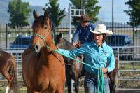 Girl leads horse with halter