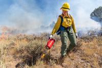 Firefighter lighting a prescribed burn with a torch. (BLM)