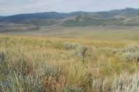 Caldwell Canyon Revised Mine project area is southeastern Idaho.