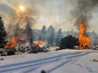 To remove the leftover fuels after thinning treatments, wood is gathered into piles and then burned during parts of the year when accidental spread is least likely.