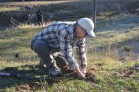 A person planting a tree in the ground.