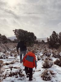 Harvesting a Christmas Tree