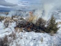burning brush in snow