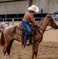 Rider on brown horse, touching the horse's neck