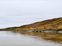 BLM managed Ikpikpuk River gage. Photo courtesy of Brower Frantz , Utqiagvik resident and active user of the Ikpikpuk River gage data. Photo taken during fall 2023 hunting trip.