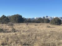 Photo of Chaves and Lincoln Counties Prescribed Burn.