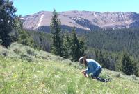 Person kneels on green hillside with mountains in the background.