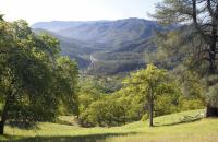 Large valley oaks frame a view of a deep canyon.