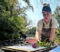 A BLM Natural Resource Specialist prepares an herbarium voucher of Joe Pye weed, carefully arranging the roots of the plant. She lays it on top of cardboard as a river can be seen flowing behind her with green trees on both sides of that river