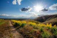 Picture of a trail in the Boise foothills