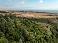 An Aerial view of the Cotoni-Coast Dairies: a coastal forest in the foreground, a grassland pasture in the mid ground, and the pacific ocean in the background.