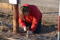 Michelle Meece, BLM Arizona land surveyor