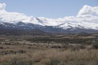 Clouds cover snowcapped mountains above desert foliage. 
