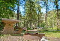 A picnic table and a fire ring in a forest