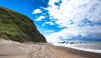 Ocean beach and a green cliff