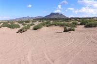 Hot Well Dunes Recreation Area with sandy dunes.