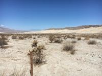 A wooden stake in a flat desert landscape with a distant mountain range.