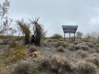 Entrance sign to Avi Kwa Ame National Monument surrounded by desert vegetation