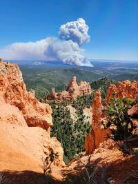 View of Deer Springs Fire from the Pink Cliffs. Credit local resident Carter Mackley.