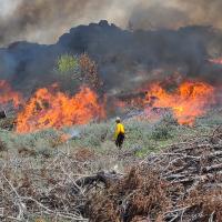 a firefighter walks in front a line of flame