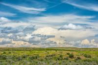 Grasslands on Milton Ranch, pictured here, have been returned to native seed. 