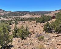 Dry Creek Travel Management Area in Uncompahgre Field Office