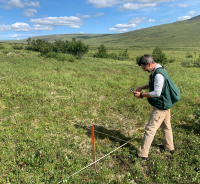 A scientist conducts an AIM survey in interior Alaska. 
