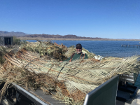 Volunteer with habitat bundle to install with lake in background.