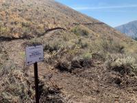 Recently constructed Hangman Trail in Wood River Valley