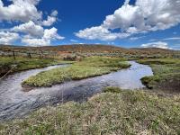 A recently completed WRI project restored the natural path of a creek in the Upper Bear River Watershed Restoration Area in Rich County. Wildlife-friendly fencing was also installed. Photo by BLM Utah. 