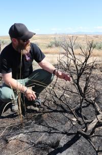 Caucasian man crouches next to burned shrub