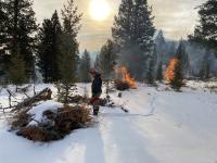A firefighter ignites a slash pile. 