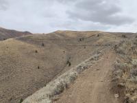 The Golden Hour Trail near Hailey