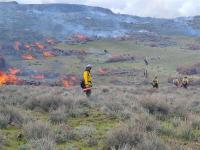 A firefighter holds a drip torch during ignitions of a prescribed burn. Smoke and fire appear on the rangeland in the background.