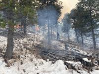 Worker watching pile burning