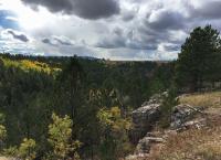 A canyon with green and yellow trees and clouds in the background. 
