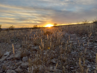 A sunset in the Carlsbad Field Office area.