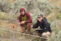 BLM seasonals crouched down next to line with flagging monitoring native plant diversity and cover in a BLM range allotment