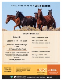 Flier for wild horse adoption event