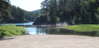 A calm body of water surrounded by tall trees. 