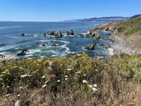 Cliffs and rocks of the Lost Coast area in California abutting the ocean.