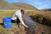 A person crouching beside a stream holding a small net in the water.