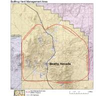 Beatty, Nevada is depicted in the center of a herd management area