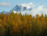 Autumn mountain photo